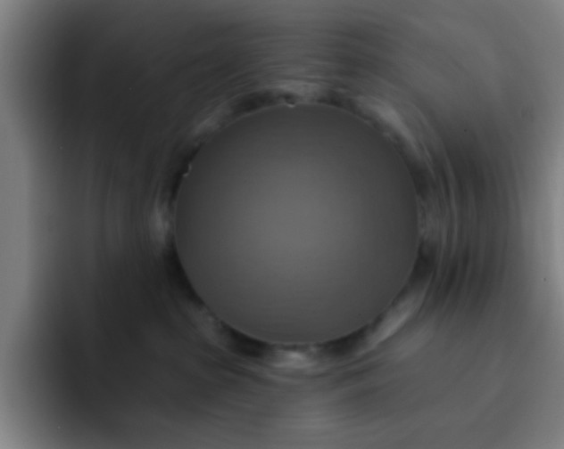 X0000091910285200709261721