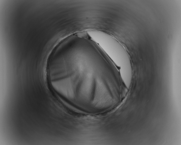 X0000091910290200709261721