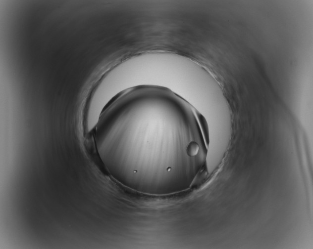 X0000091910293200709261721