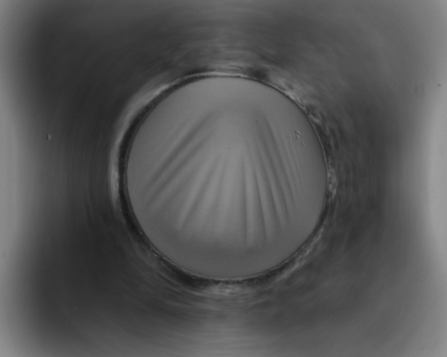 X0000091910294200709261721