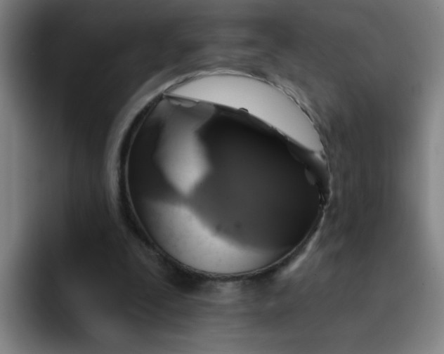 X0000091910295200709261721