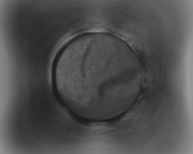 X0000091910296200709261721