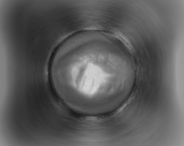 X0000091910298200709261721