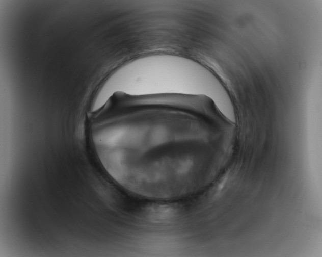 X0000091910299200709261721