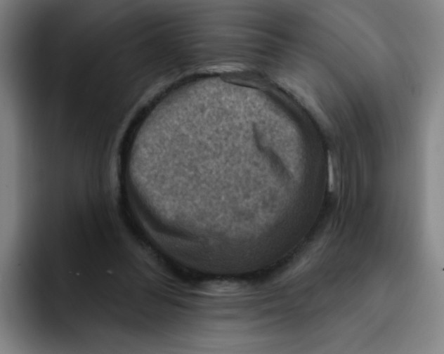 X0000091910300200709261721