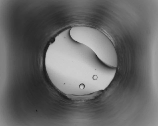 X0000091910301200709261721