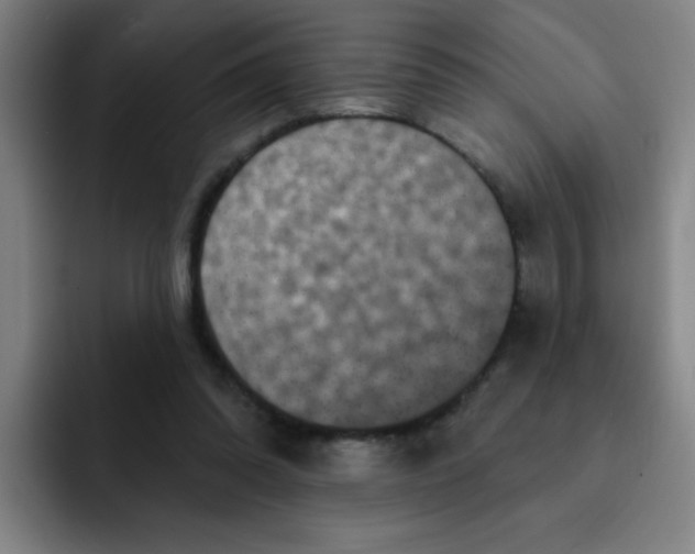 X0000091910302200709261720