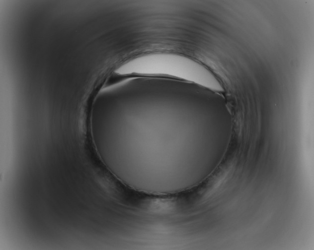 X0000091910303200709261720