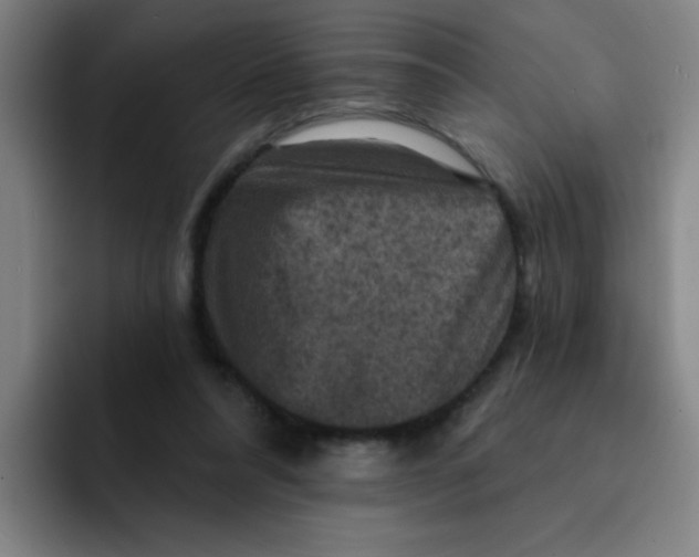 X0000091910304200709261720