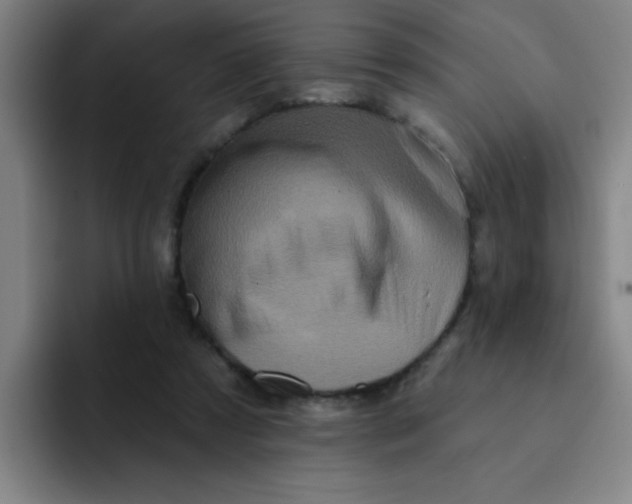 X0000091910305200709261720