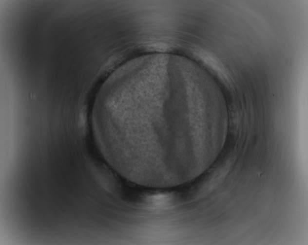 X0000091910312200709261720