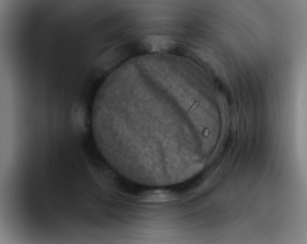 X0000091910316200709261720