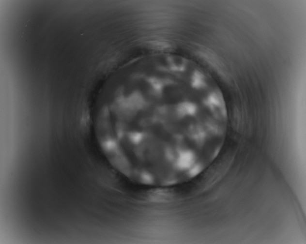 X0000091910320200709261720