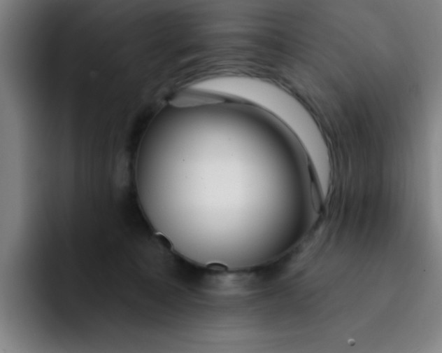 X0000091910323200709261720