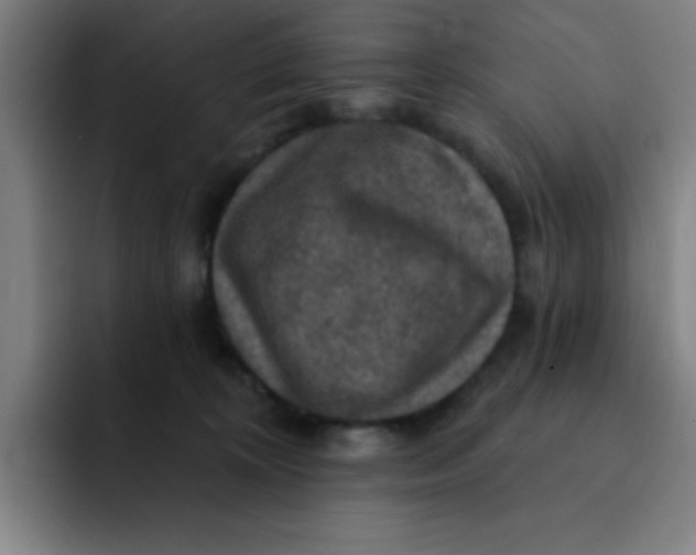 X0000091910324200709261720