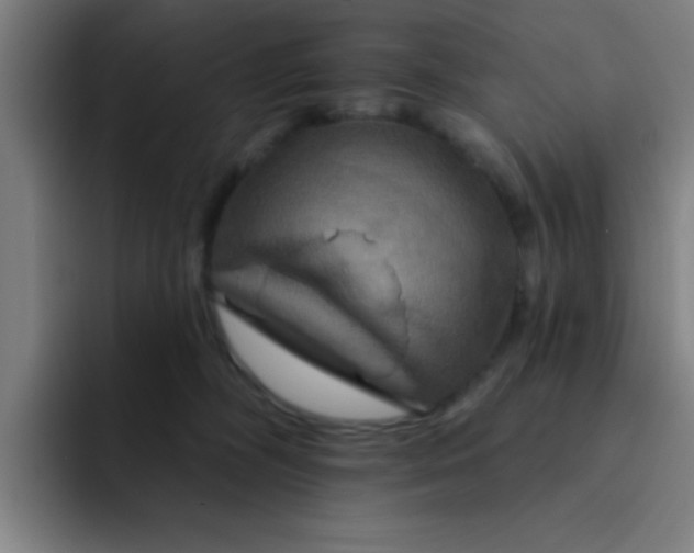 X0000091910326200709261720