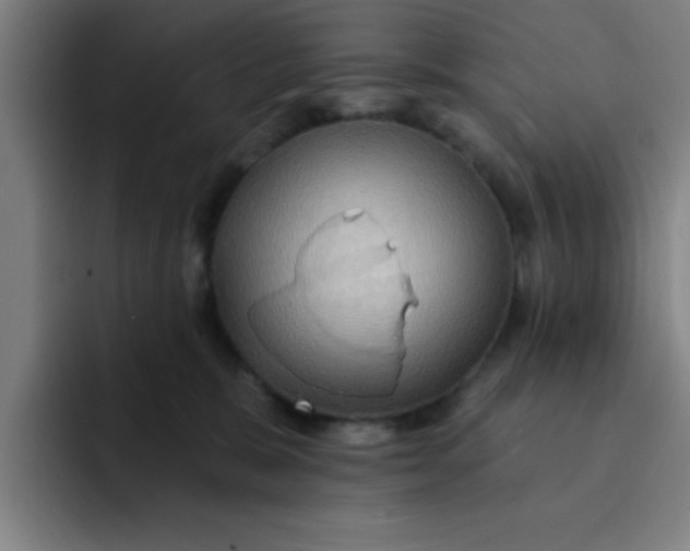 X0000091910327200709261720