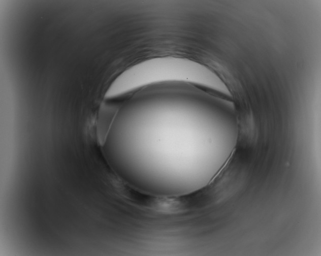 X0000091910333200709261720