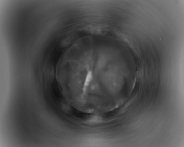 X0000091910335200709261720