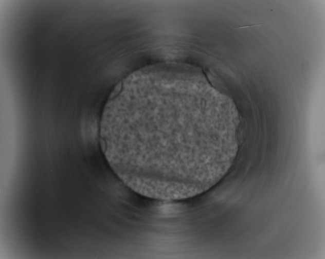 X0000091910336200709261720