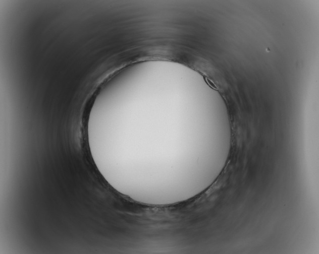 X0000091910338200709261720