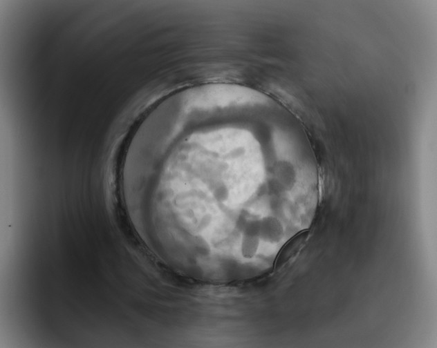 X0000091910339200709261720