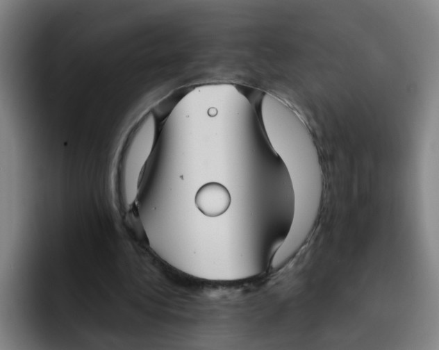 X0000091910340200709261720