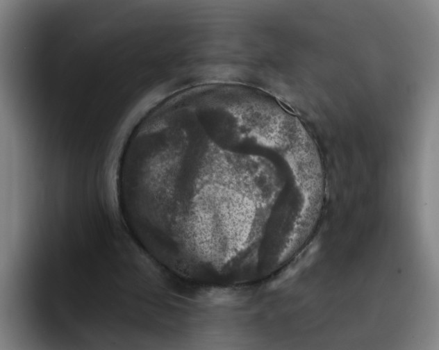 X0000091910341200709261720