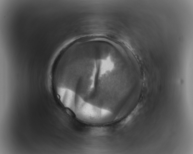 X0000091910342200709261720