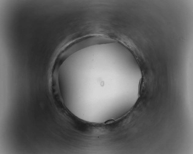 X0000091910344200709261720