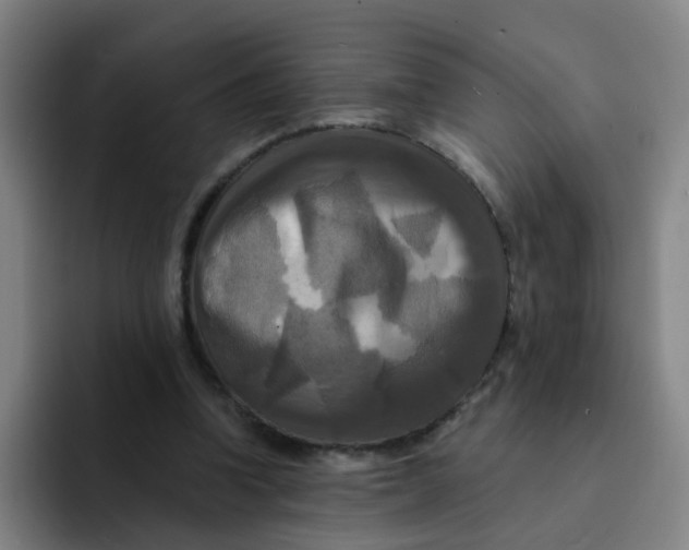 X0000091910346200709261720