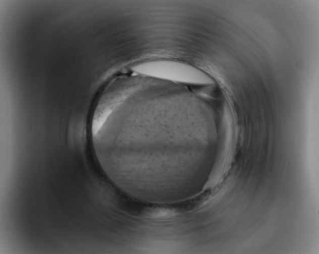 X0000091910348200709261720