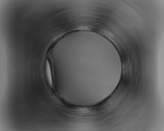 X0000091910349200709261720