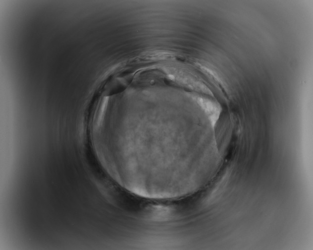 X0000091910352200709261720