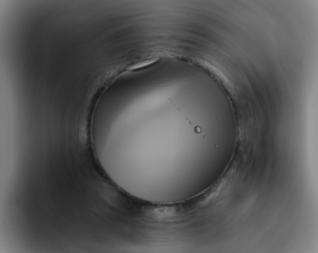 X0000091910353200709261720