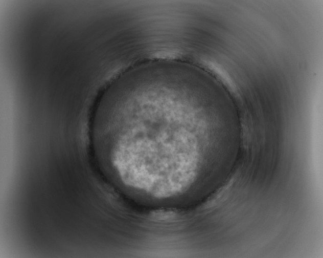 X0000091910354200709261720