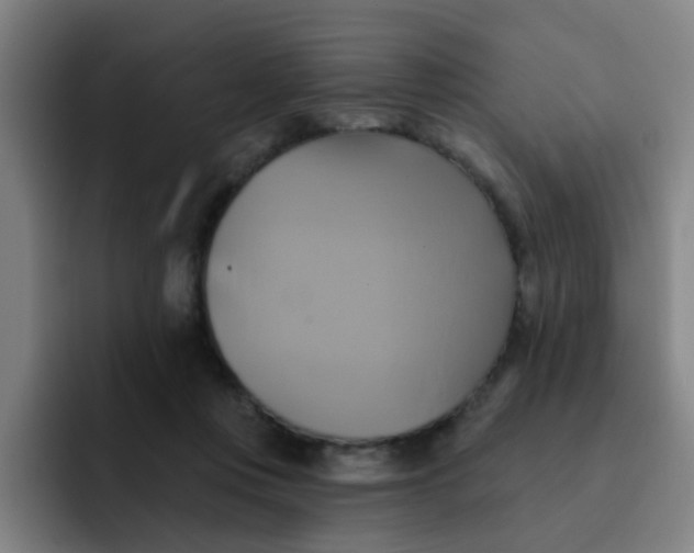 X0000091910359200709261720