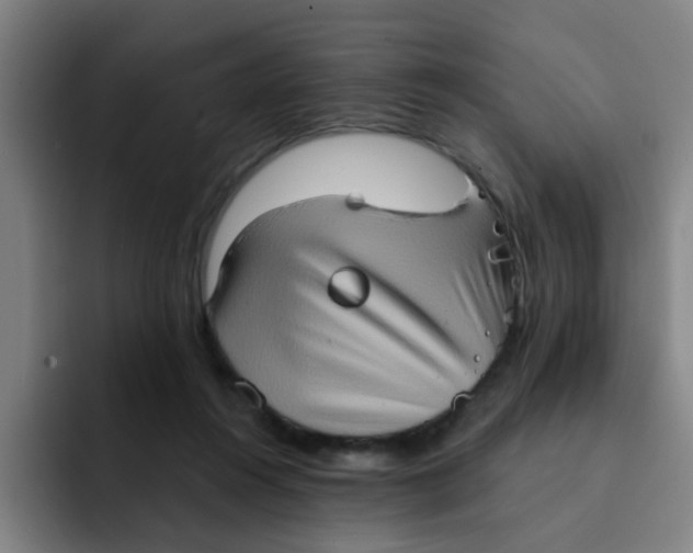 X0000091910360200709261720