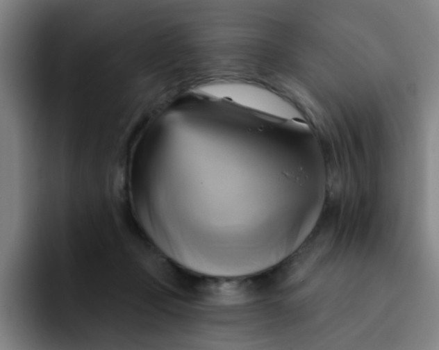 X0000091910365200709261720