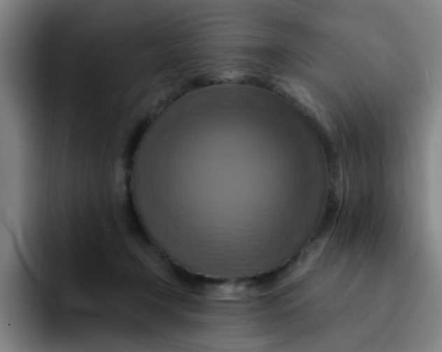 X0000091910366200709261720