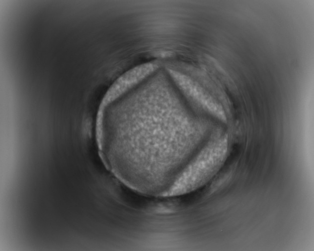 X0000091910368200709261720