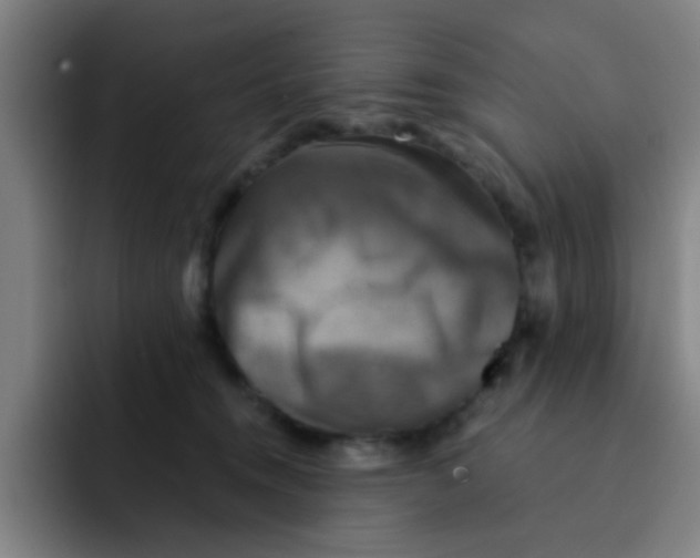 X0000091910372200709261720