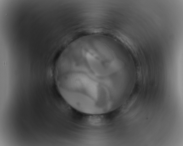 X0000091910373200709261720