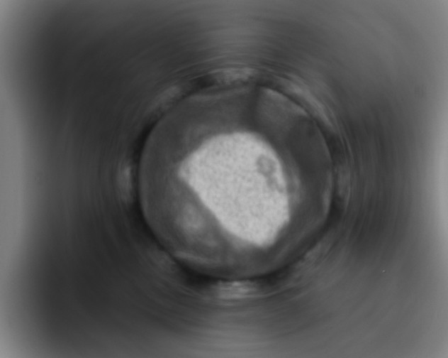 X0000091910378200709261720