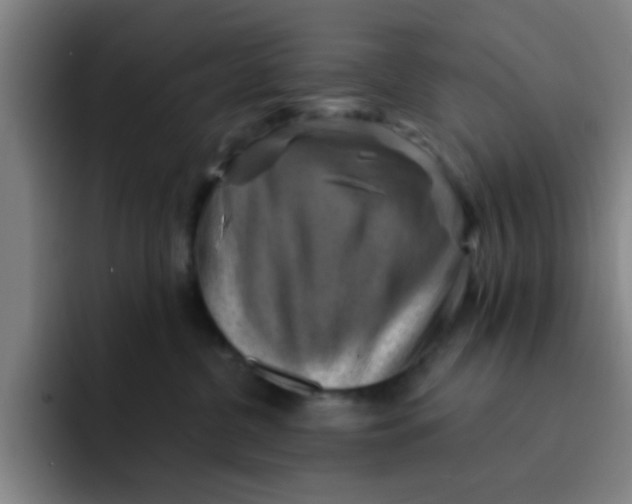 X0000091910380200709261720