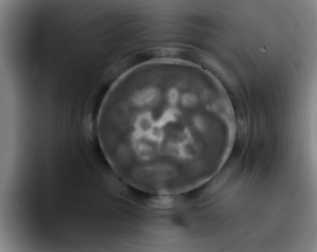 X0000091910381200709261720