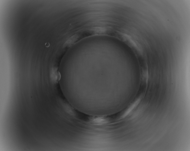 X0000091910383200709261720