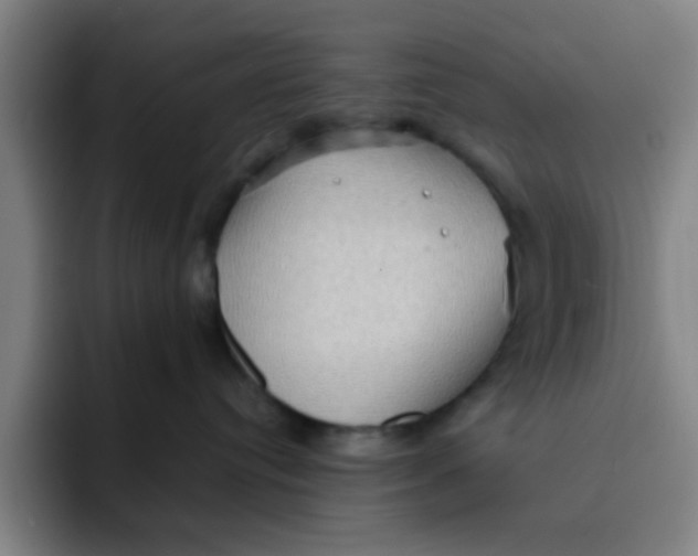 X0000091910384200709261720