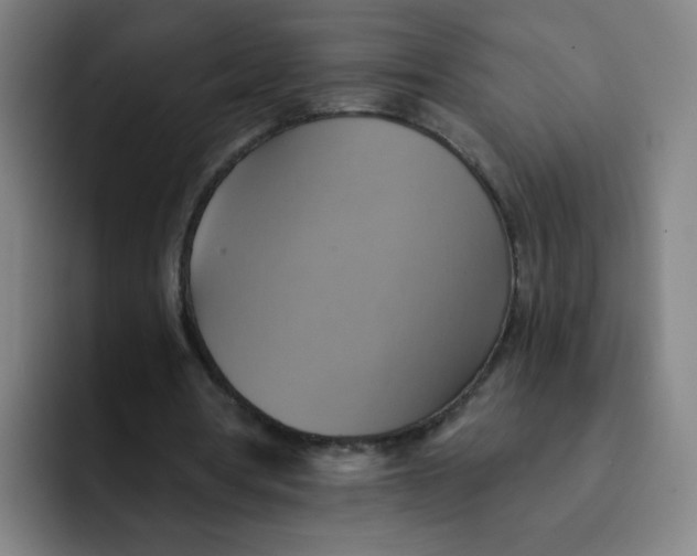 X0000091910386200709261720