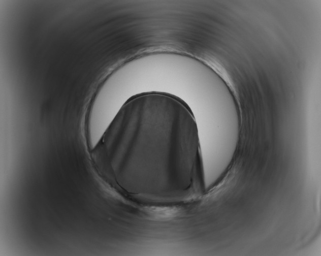 X0000091910389200709261719